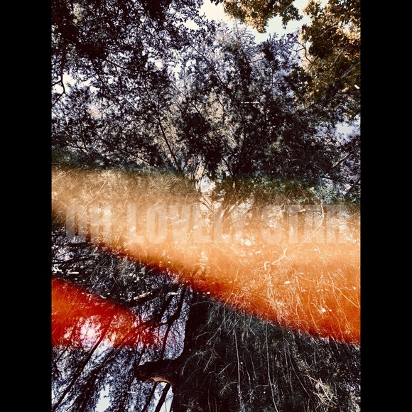 Art Print Lovely Star * Original Photography - Picture 3 of 6